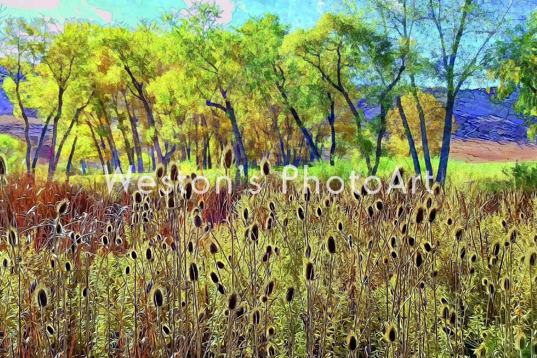 Weston's PhotoArt Exultation Notecard Weston's PhotoArt Exultation Notecard