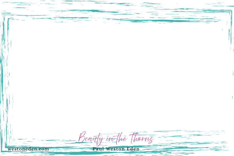 Beauty in the Thorns PhotoArt Notecard Beauty in the Thorns PhotoArt Notecard