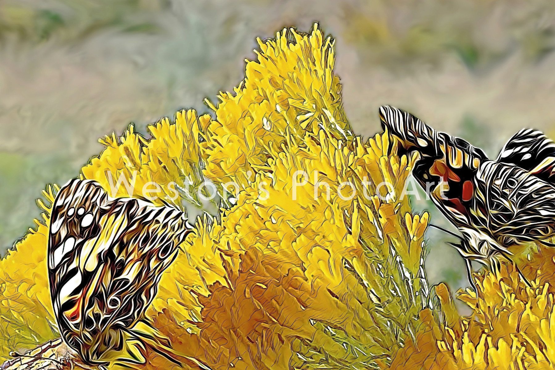 Dancing Butterflies PhotoArt Notecard Dancing Butterflies PhotoArt Notecard