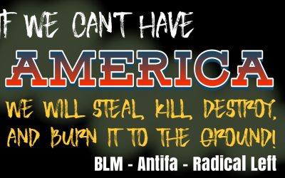 We Will Kill, Steal, Destroy and Burn America to the Ground
